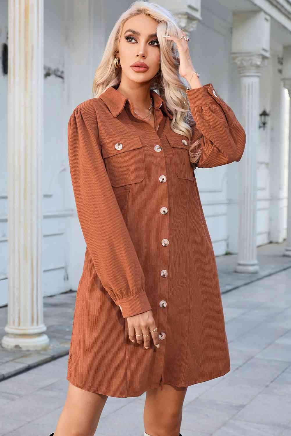 The Button Down Puff Sleeve Dress